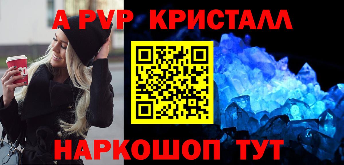 Alfa_PVP СК КРИС Бердск