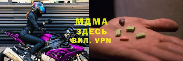 индика Зеленодольск