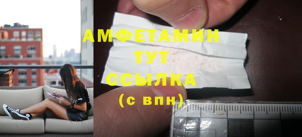 индика Зеленодольск
