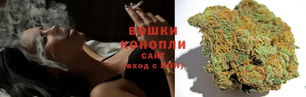 индика Зеленодольск