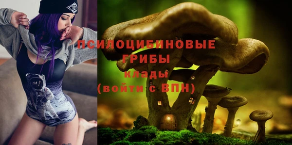 индика Зеленодольск