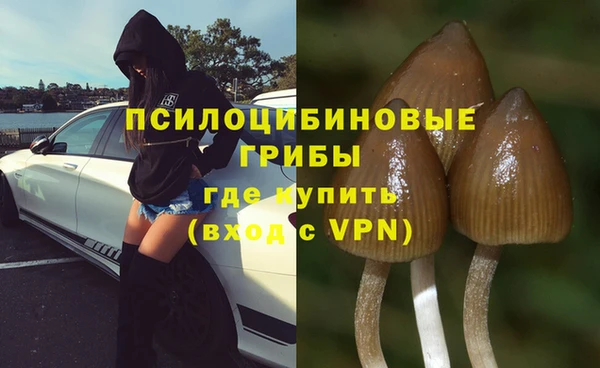 индика Зеленодольск