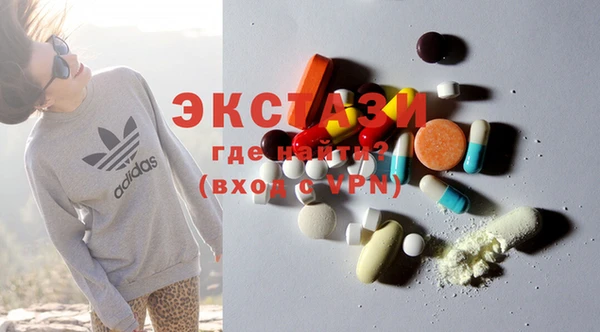 индика Зеленодольск