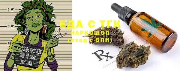 индика Зеленодольск