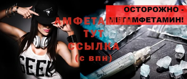 индика Зеленодольск