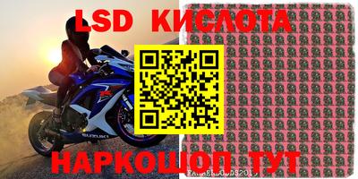 спиды Аргун