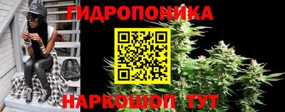 хмурый Аргун