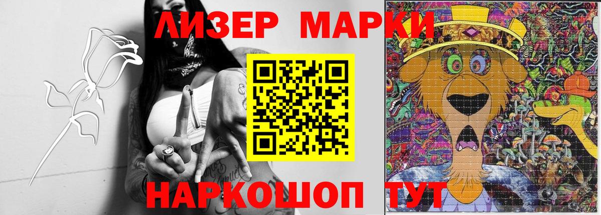 МЕФ Бердск