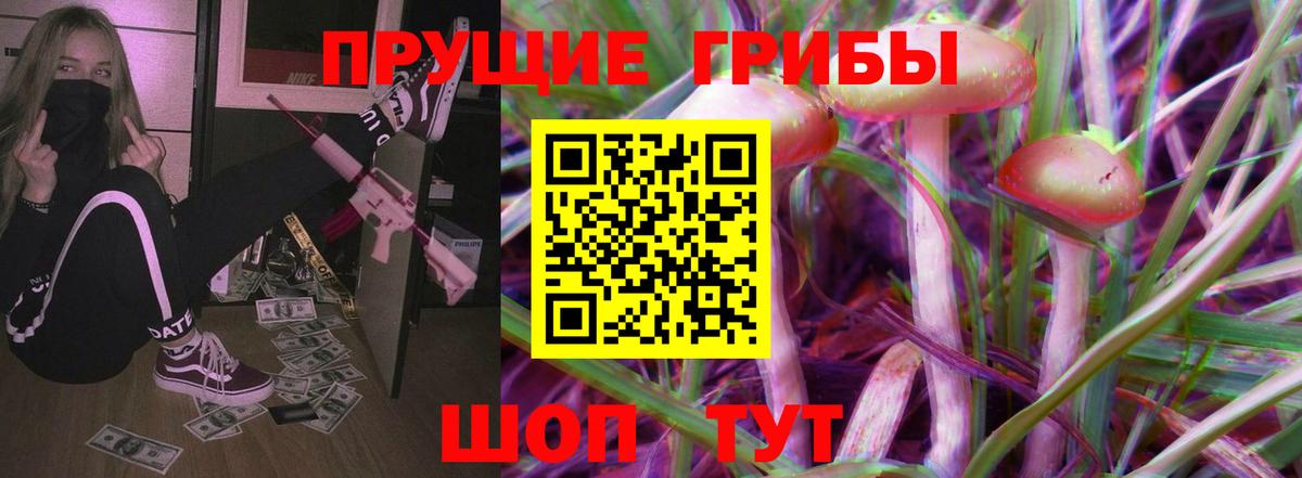 Бердск  Псилоцибиновые грибы Psilocybe  наркотики  Вход с VPN 