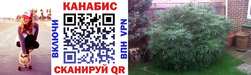 МАРИХУАНА марихуана  omg как зайти  Бердск 