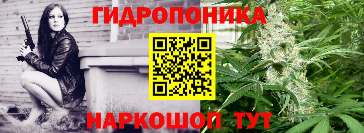 Марихуана план Бердск